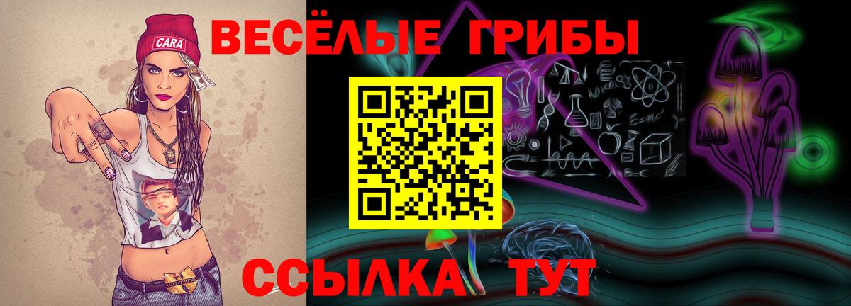Гашиш Лыткарино